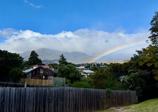 Maybe not a lot of fun riding to the top of kunanyi today.