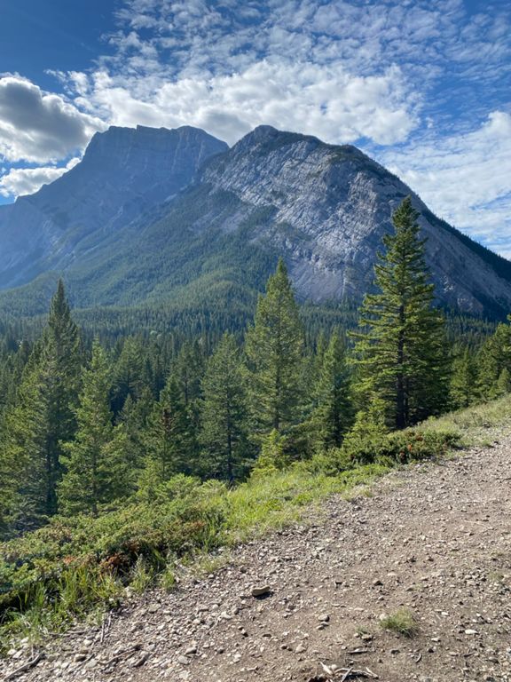 Star Wars > Return of the Jedi > Top Notch 4.8 mi Mountain Biking