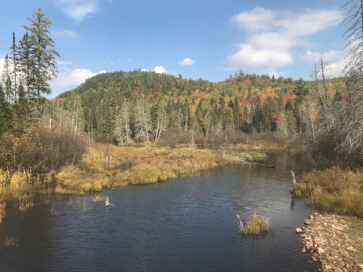 Along main drag to Mulligan Plains