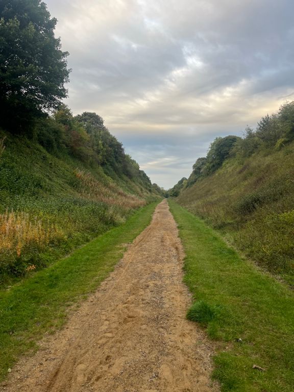 route-highlight