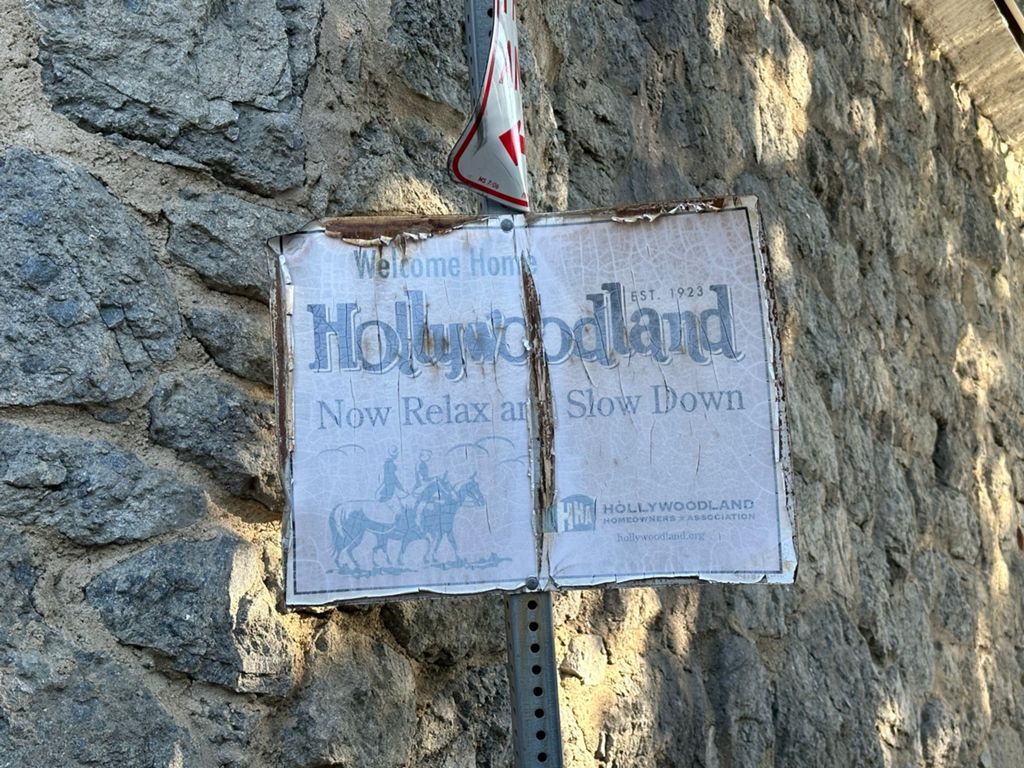 NBB run - Lake Hollywood: фото 153