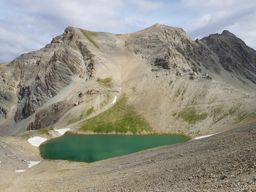 Rando fleurie autour du lac d’Allos