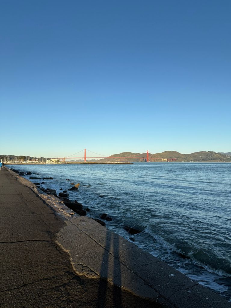 Butterlap (Presidio & Golden Gate Park) photo 86