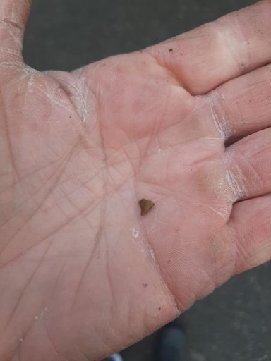 Dit lijkt wel precies hetzelfde steentje als de eerste keer!!!