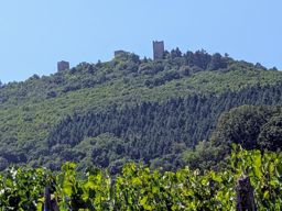 Eguisheim en famille