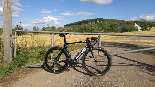 Had to put the Enves on the bike once before returning them.