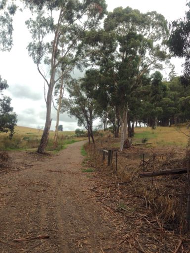 Now this is more like it!! (So steep around the corner that I was walking again!!)