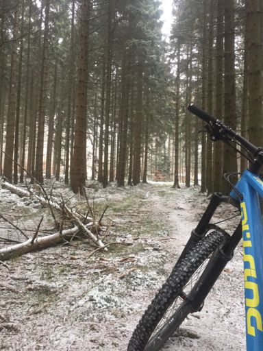 Na also Ein gelungenes Foto