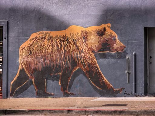 Don’t poke the bear