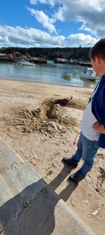 We followed guidance to Stonehaven Harbour and Old Pier Coffee Shop, where I got an excellent bap, cake and coffee. Engaged by this nutty dog, I got talking to local oil rigger Alan C, and wish I had shaken his hand rather than bumped fists, though I wanted to reduce risks. He pledged to donate but that must have led to second thoughts. I would love to have got to know him and his family and would have invited them to stay, if ever they were in London.