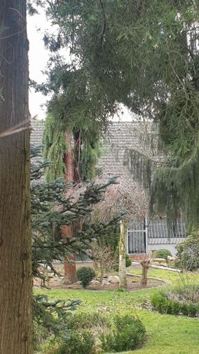 Frankfurt_ID23793_BM_Berkersheimer Weg 163