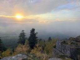 rando  Colbery Kohlberg Donon