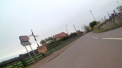 Never did see the pumpkin patch