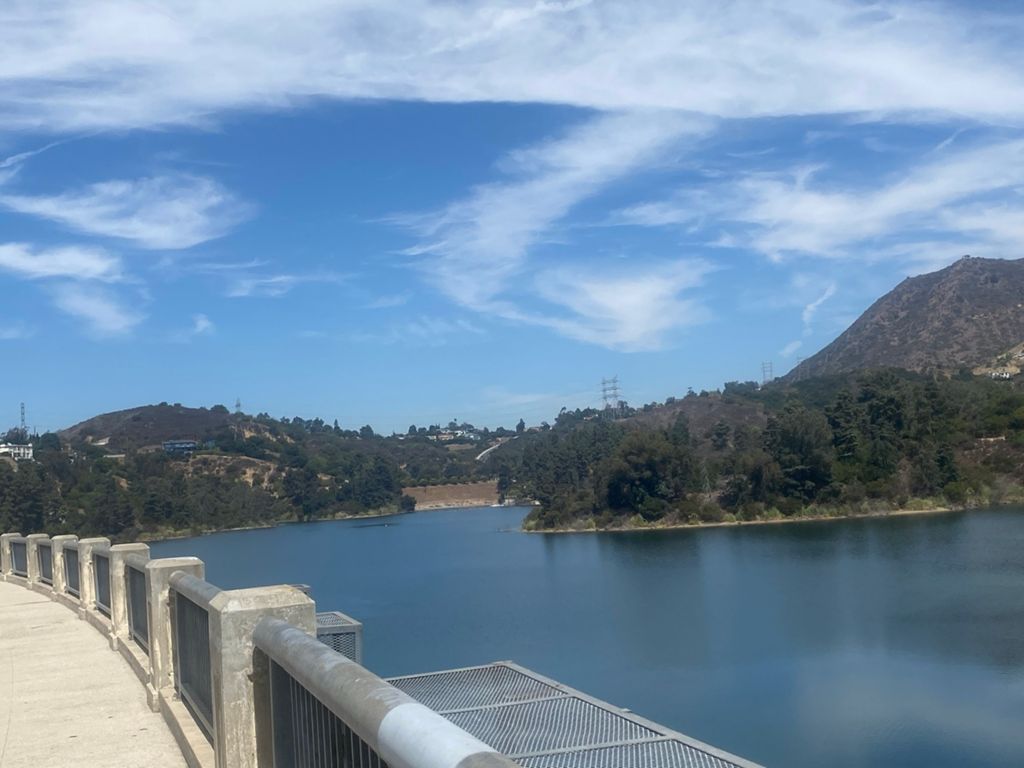 NBB run - Lake Hollywood: фото 107