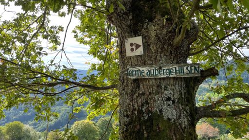 Commencer par une montée au Hilsen (histoire de décrasser la machinerie cardio-pulmonaire et de constater la baisse de forme de fin de saison…)