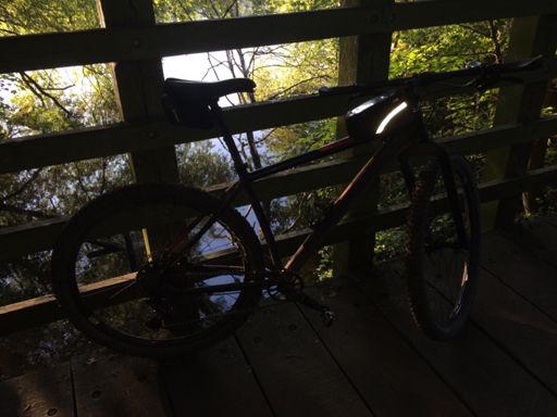 Little bridge Red-brook MSc / Mersey , Little Bridge