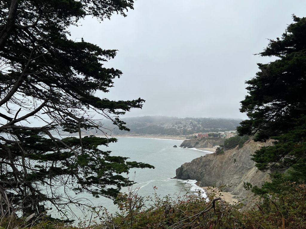 Butterlap (Presidio & Golden Gate Park) photo 65