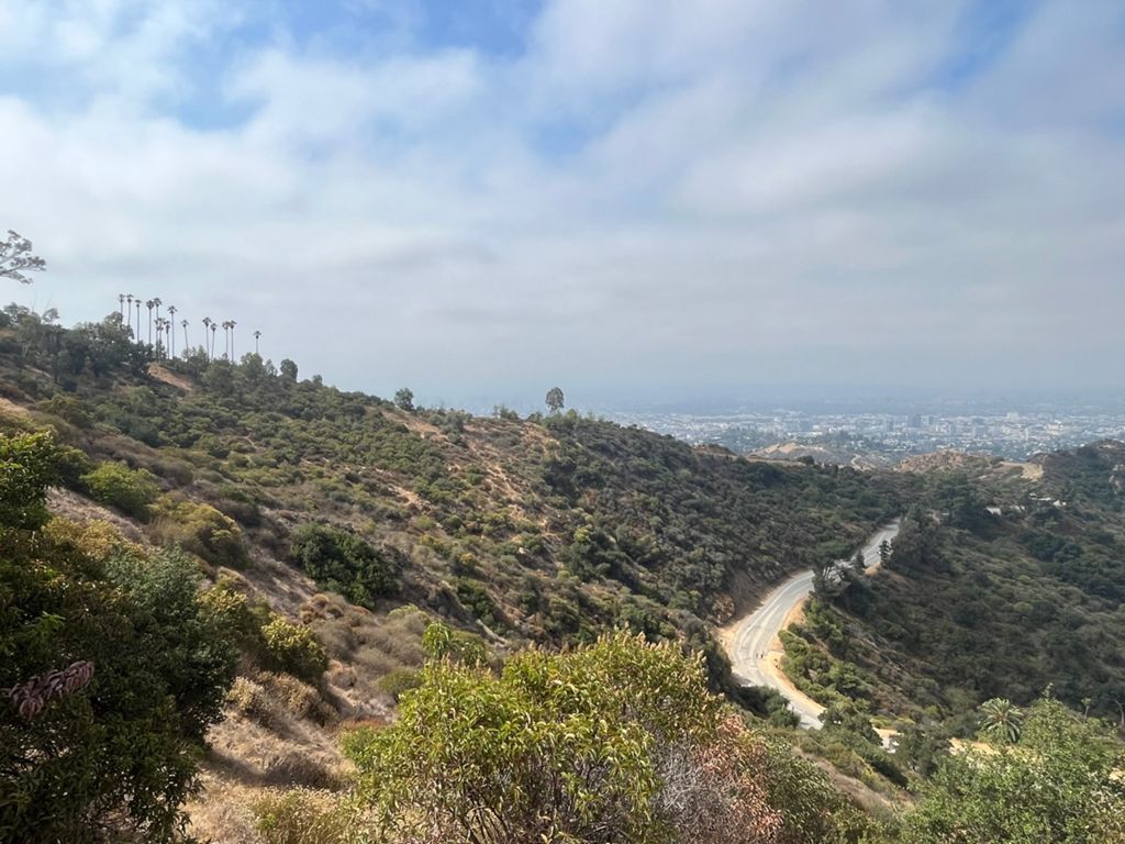 NBB run - Lake Hollywood: фото 122