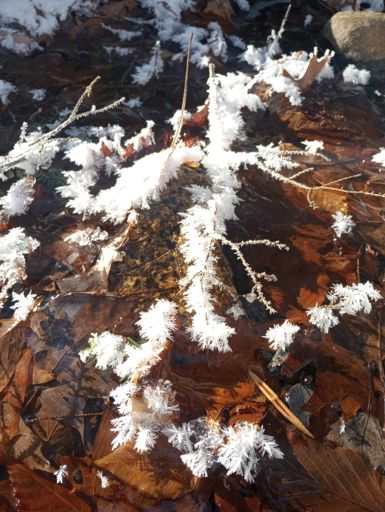 Hoarfrost above steam