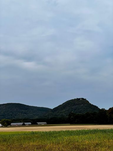 Sugarloaf across the fields 