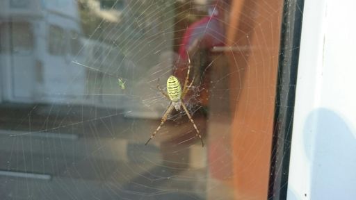 Встретил друга ;)