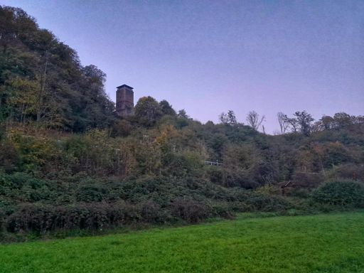 Hinterburg Neckarsteinach. Vom Neckar aus ein bisschen versteckt.