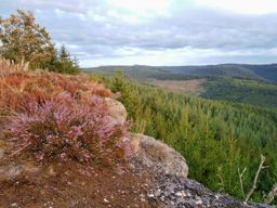 Grand Rougimont
