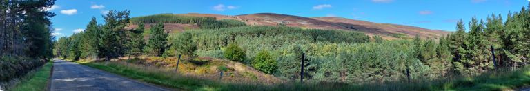 Panoramic of previous 2+.