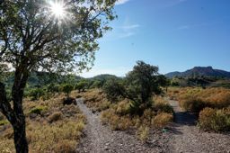 VTT dan l’Estérel