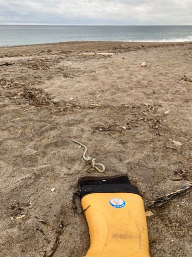 韓国からの漂着物。向き的に違うような気がするけど。