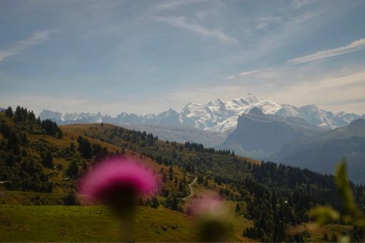 In navolging op de foto van vorige week waarbij  verkondigd werd dat je schijnbaar de Mont Blanc kunt zien liggen vanaf dit punt, ben ik maar effe teruggegaan om te zien of schijn bedriegt.