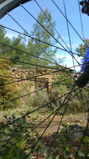 La Provence, le vélo: c'est beau tout ça...