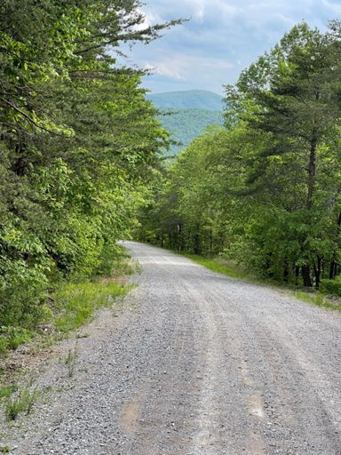 The other 2000 footer in Mclellan taking a break on the way down 15% average, 20+% max stretch of the descent.