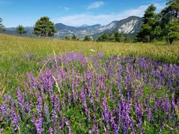 Haut tour du lac de Castillon en VTT