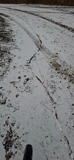 Gandrīz pirmā šī gada biete