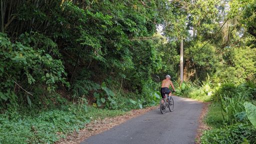 小錦屏回來一切變得和平XD