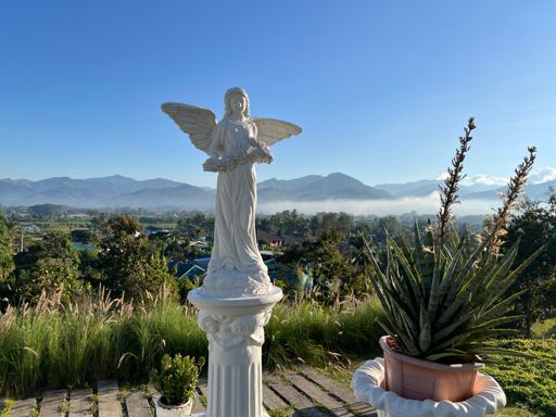 Another breakfast with morning mist 