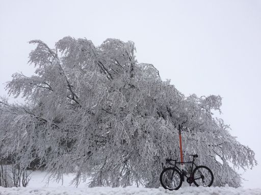 Verdammt! Immer noch Schnee auf dem Schauinsland :(