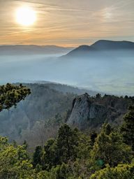 Falkenstein Ortenbourg