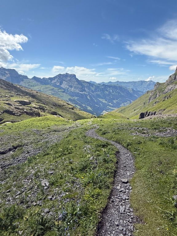 route-highlight