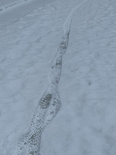 Seine was a little soft today so wasn’t gonna chance it. 