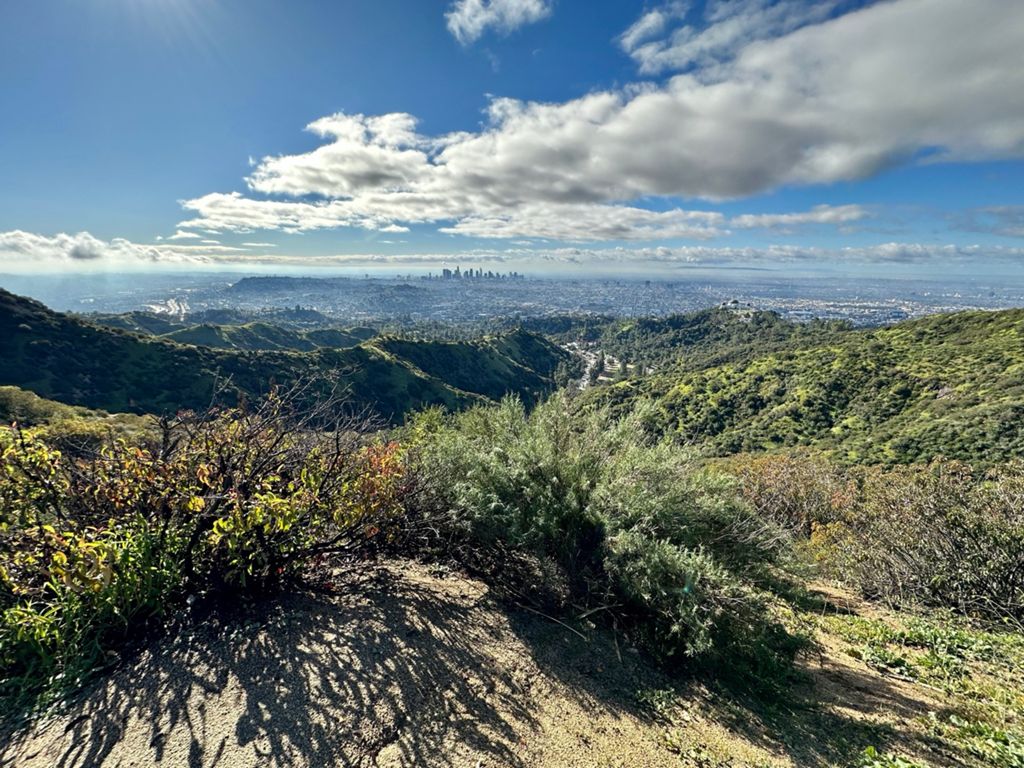 NBB run - Lake Hollywood photo 50