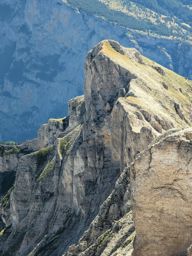 Tête de Lapras et la Cavale par le Nid