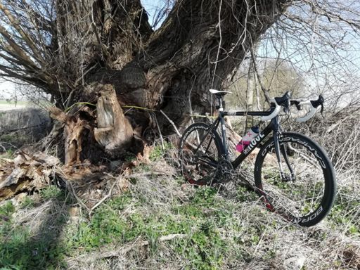 Weide bei Notzing, Taillenmessung