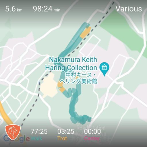 Horse Trekking on Amber at Yatsugatake Long Riding Strava