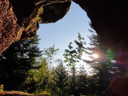 Entre le Coquin et la Maix