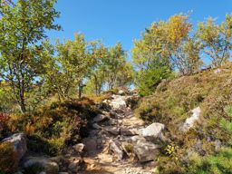 De belles couleurs sur les crêtes