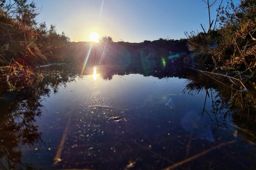 Grand roug’ matinal