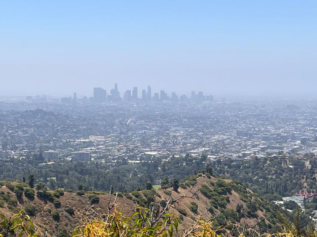 NBB run - Lake Hollywood: фото 101