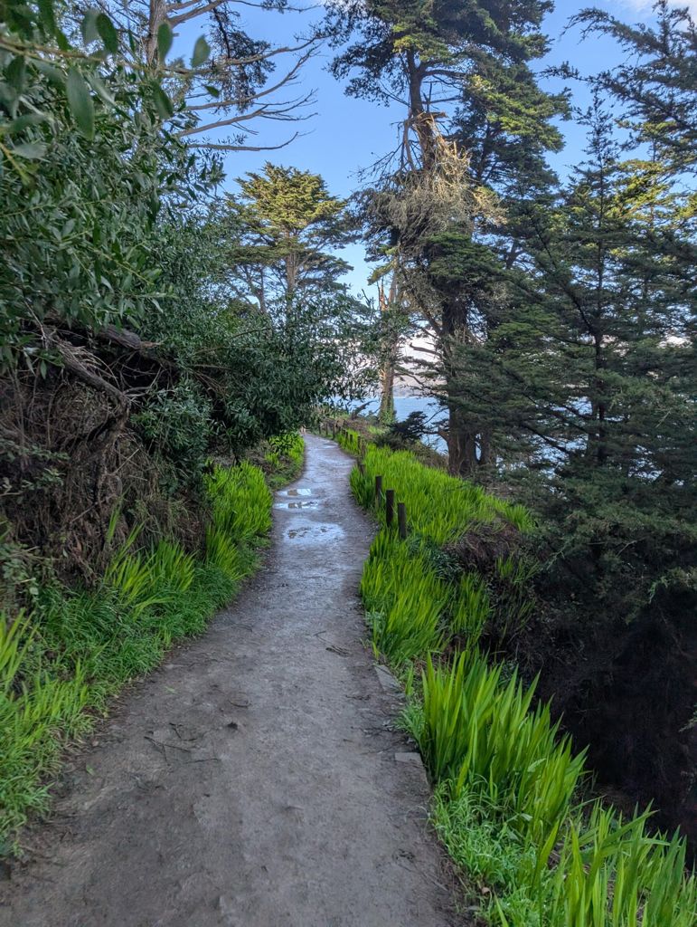 Butterlap (Presidio & Golden Gate Park) photo 36